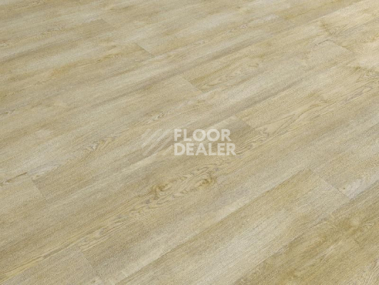 Кварцвиниловые полы FineFloor FF-1200 Strong 1266 Дуб Авива фото 1 | FLOORDEALER